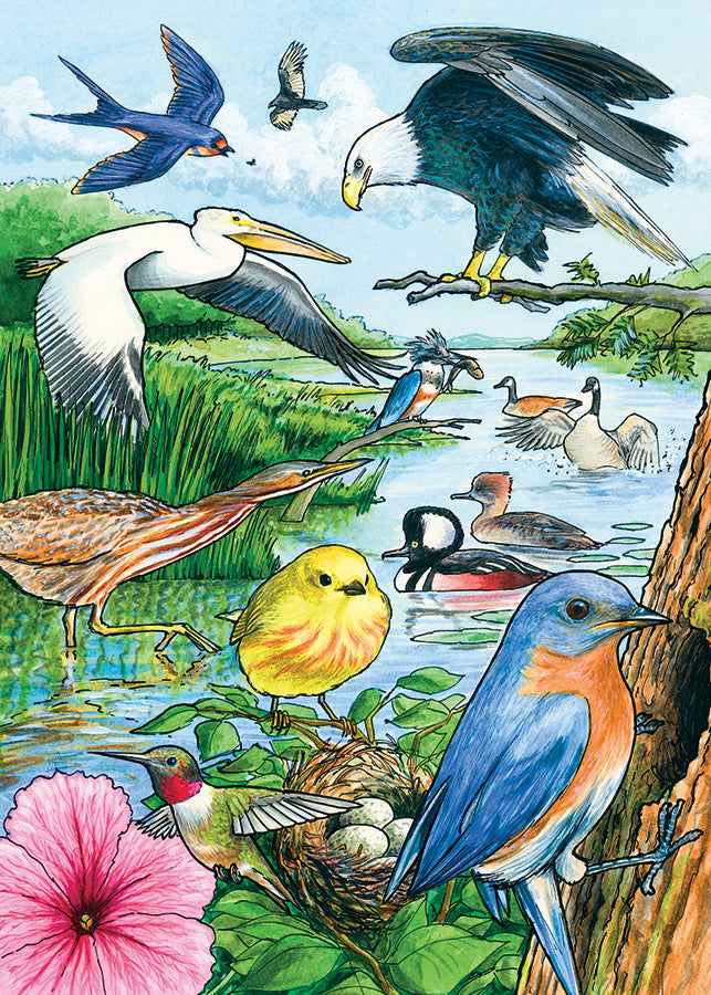 North American Birds (tray) 35 piece |58809 | Cobble Hill Puzzles